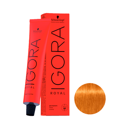 Igora Royal 9.7 Extra Light Copper Blonde 60g