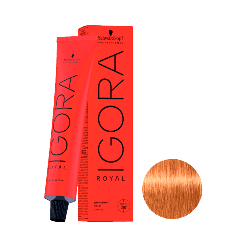 Igora Royal Coloring 8.55 Light Golden Blonde 60g