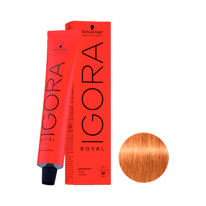 Igora Royal Coloring 8.55 Light Golden Blonde 60g